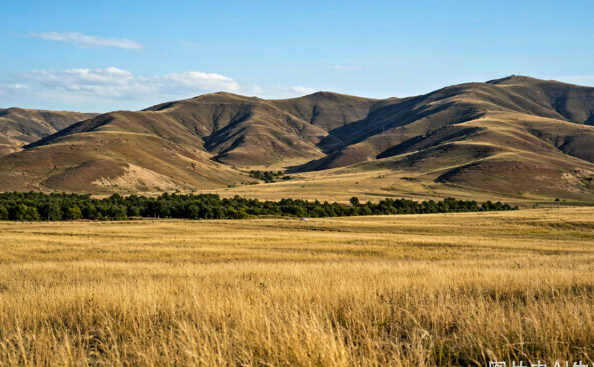Wildflowers covering the rolling Kalajun grassland hills at sunrise in Xinjiang, China