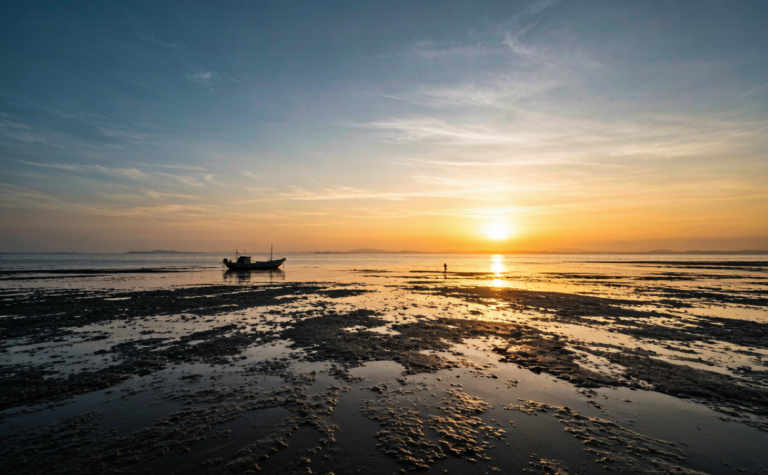 Xiapu Tide Flats Guide: Fujian’s Mudflat Photography Mecca