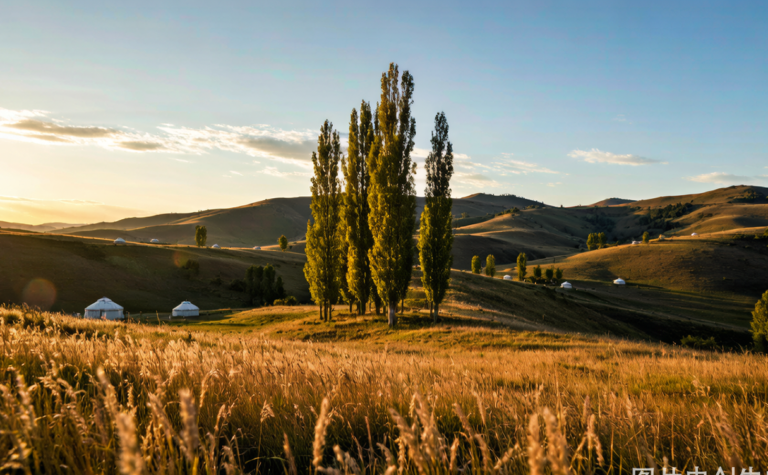 Xinduqiao Travel Guide: Sichuan’s Photographer’s Paradise