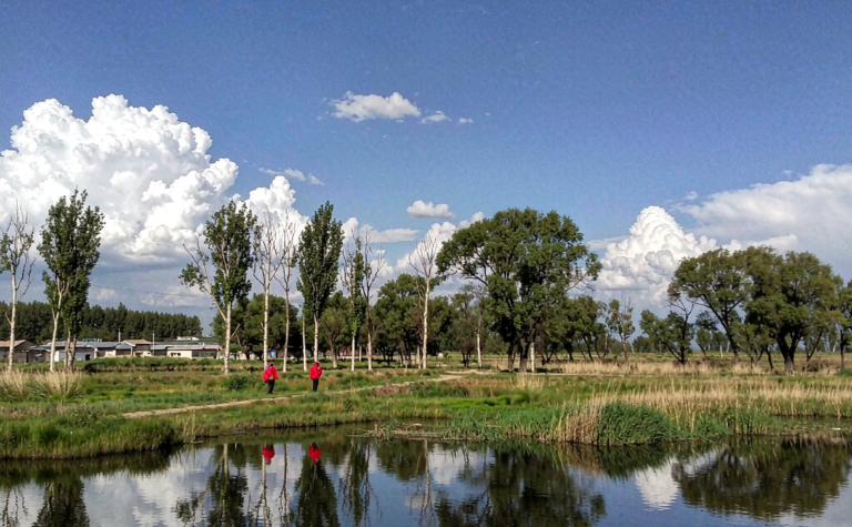 Baicheng Travel Guide: Wetlands and Wildlife in Western Jilin