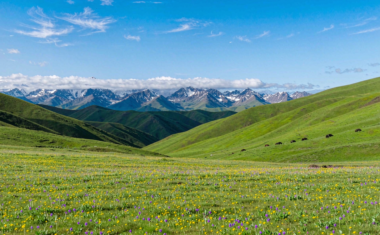 Cool green mountain ridge with terraced fields in summer