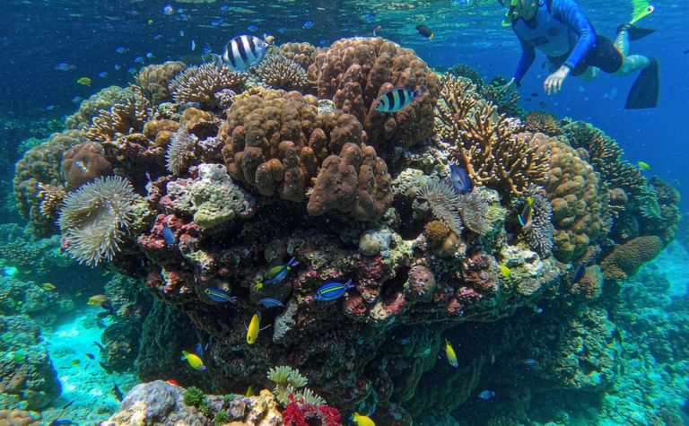 China Diving and Snorkeling Guide: Best Underwater Spots