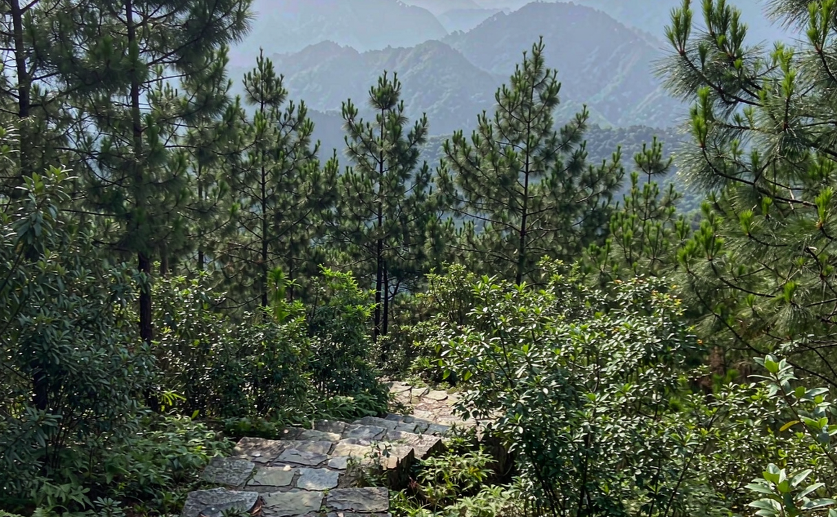 Hiker on stone mountain steps in China wearing layered clothing and a daypack