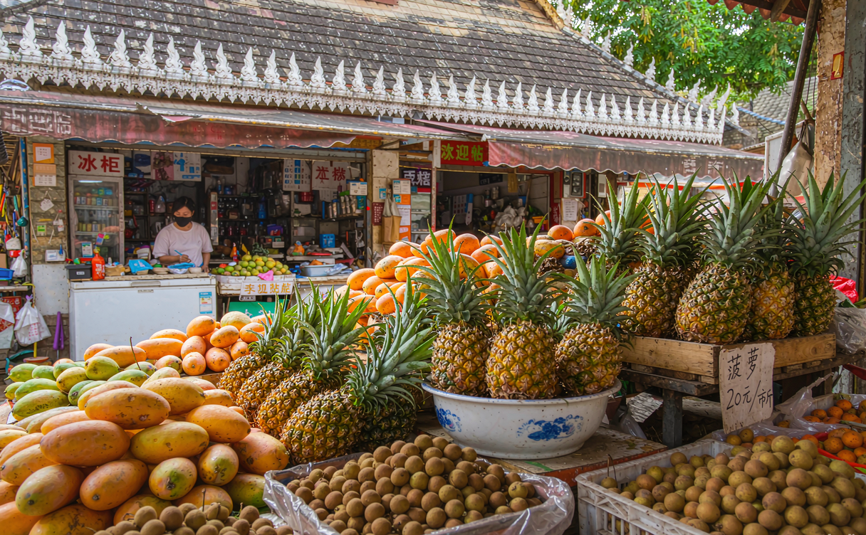 golden Dai pagoda and palm trees in tropical Mangshi, Dehong, Yunnan