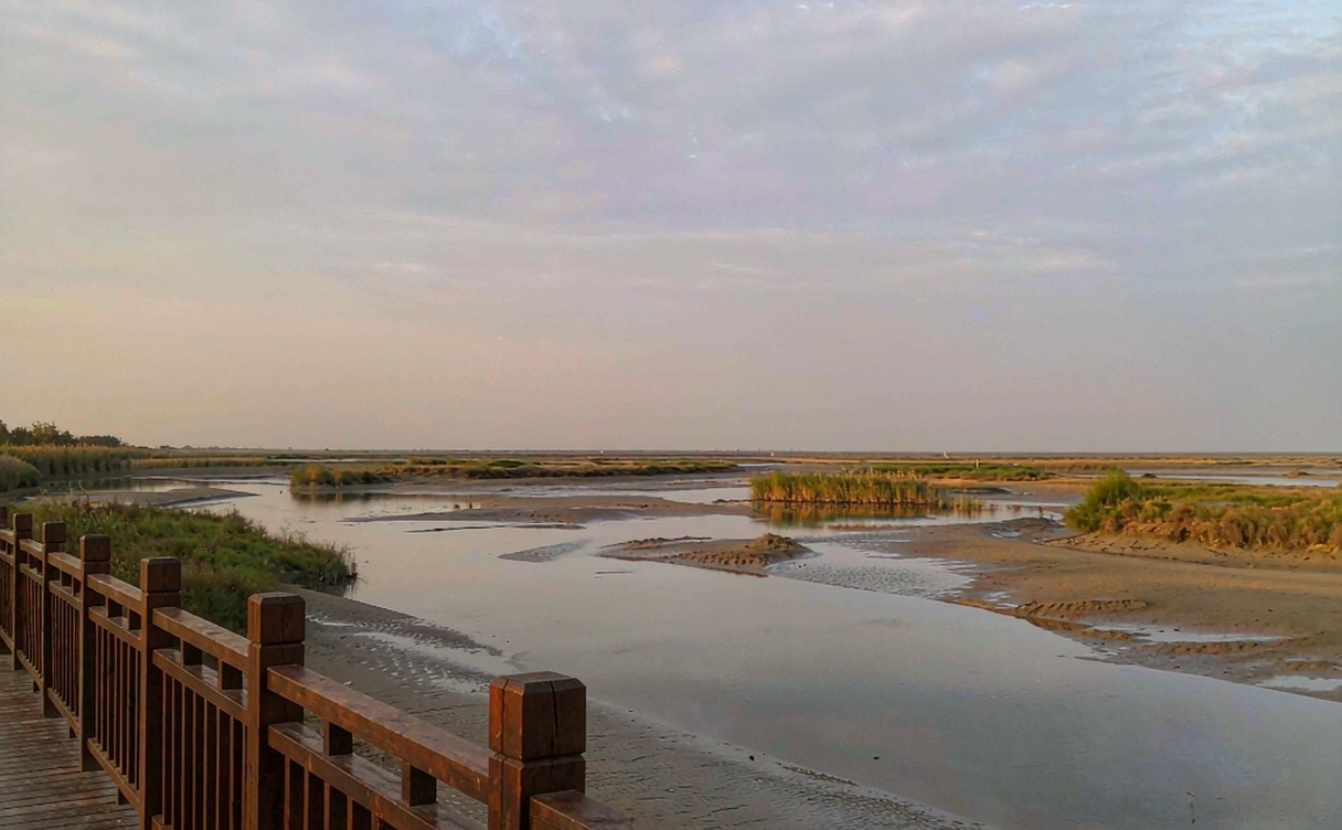 Wooden viewing platform at the Yellow River mouth near Dongying with tidal flats