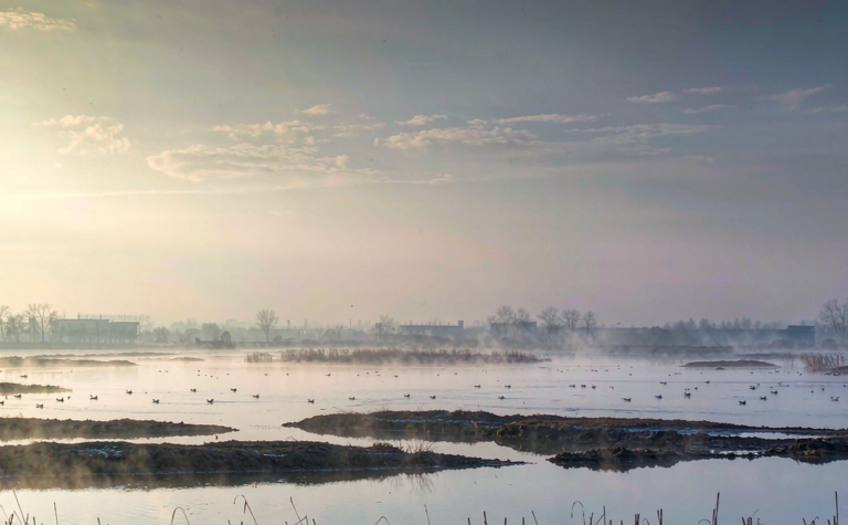 Hengshui Travel Guide: Lakes, Wetlands and Slow Hebei Living