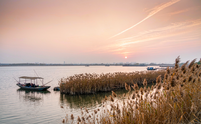 Hongze Lake Guide: Wetlands and Water Towns of Jiangsu