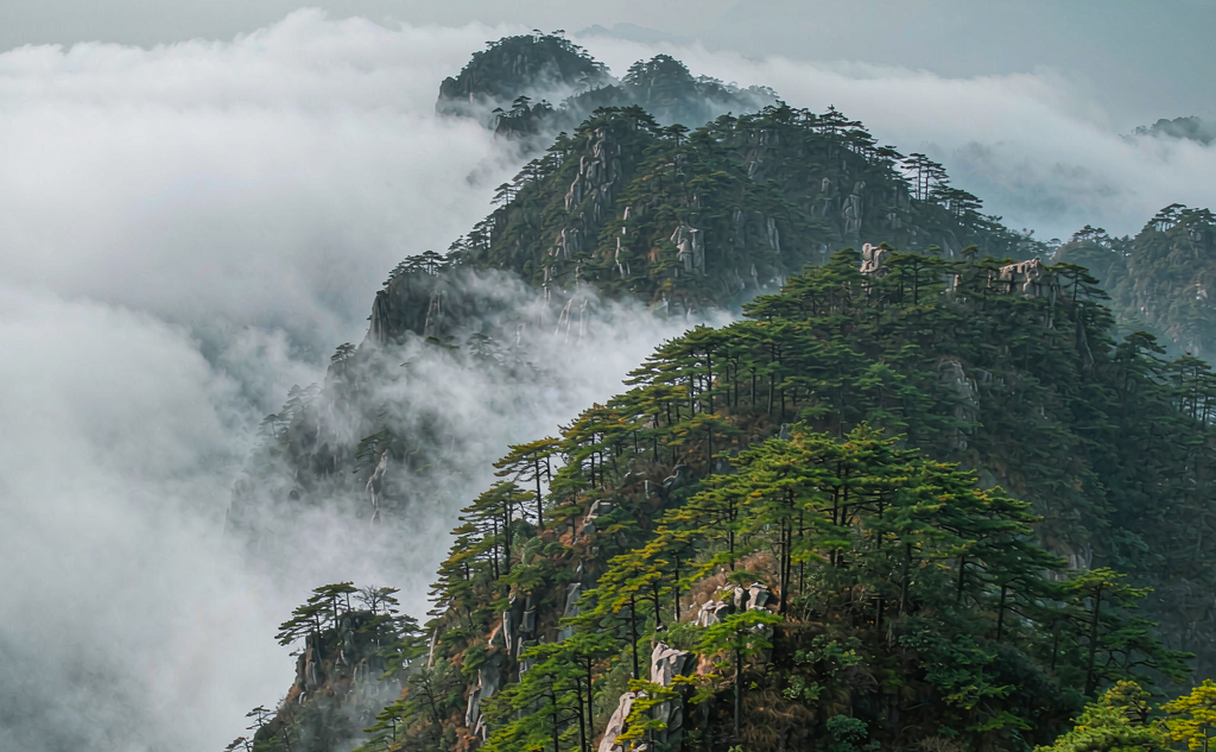Misty pine-covered ridges and a sea of clouds at Jinggang Mountain in Jiangxi, China