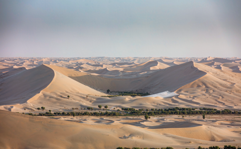 Kubuqi Desert Guide: Taming the Yellow River’s Sand Sea in Inner Mongolia