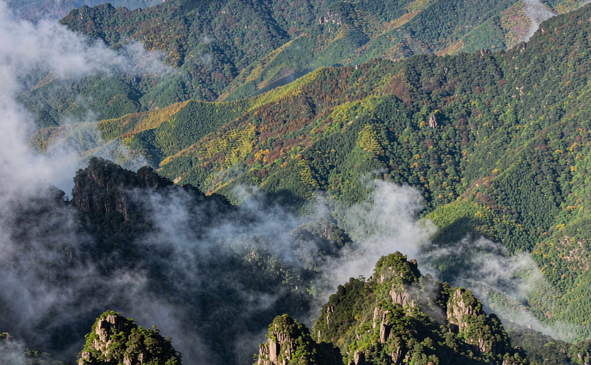 Suspension bridge crossing a green subtropical canyon in Mangshan National Forest