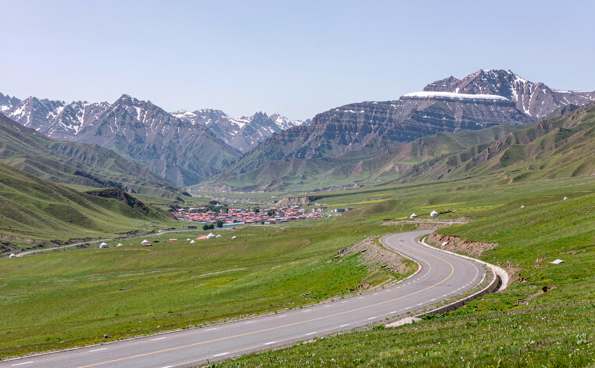 Yaks grazing on a green alpine meadow below snow capped Qilian Mountains