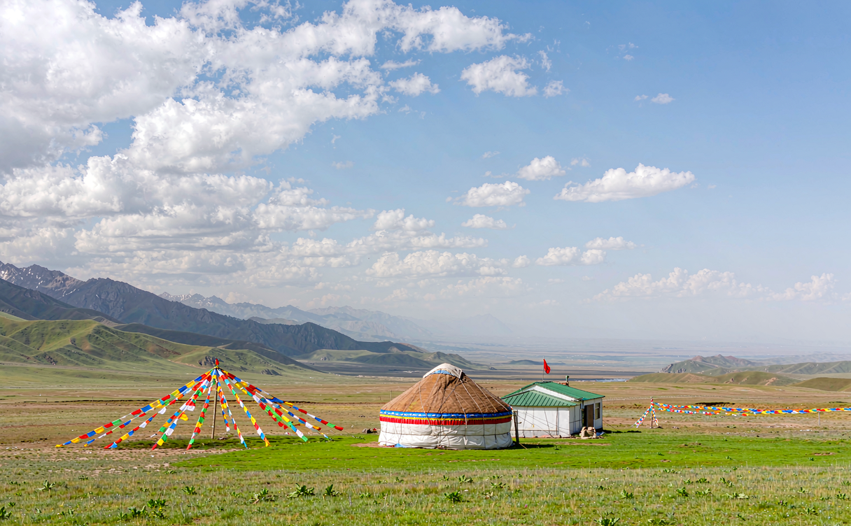 Yellow rape flower fields in Menyuan with snow peaks behind