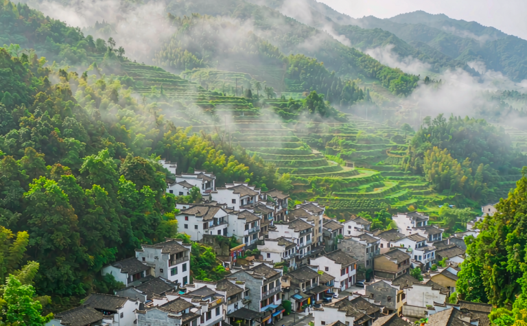 Shangluo Travel Guide: Shaanxi’s Qinling Foothills and Forest Escapes