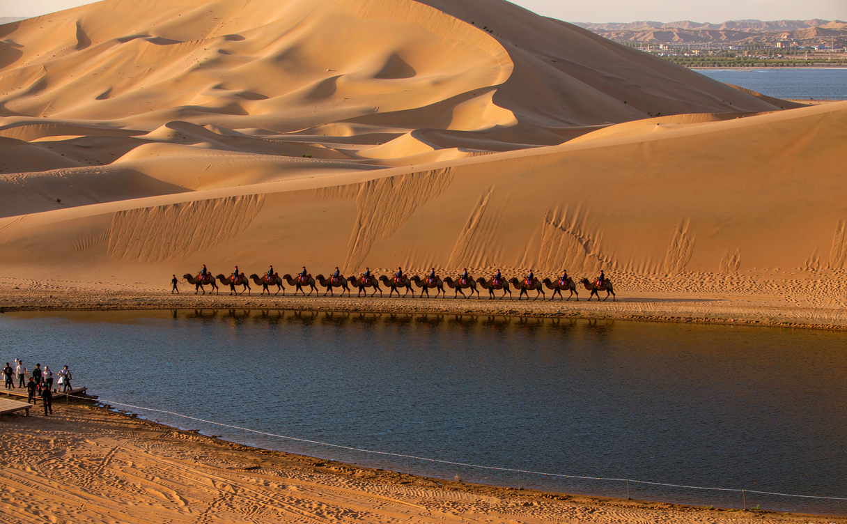 Golden Tengger Desert dunes with a lake between them