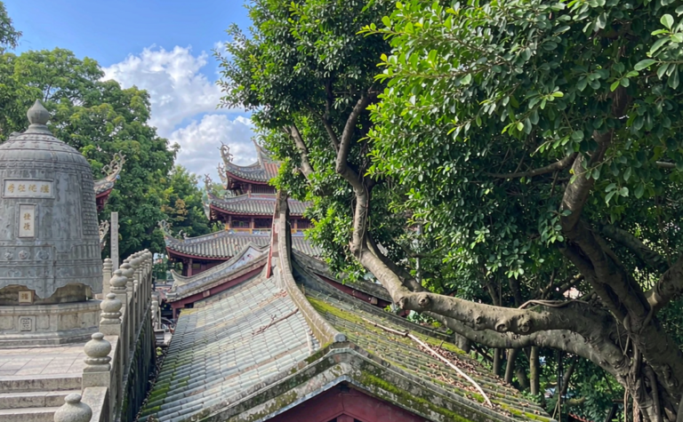 Nanputuo Temple Xiamen Guide: Sea-Facing Serenity in Fujian