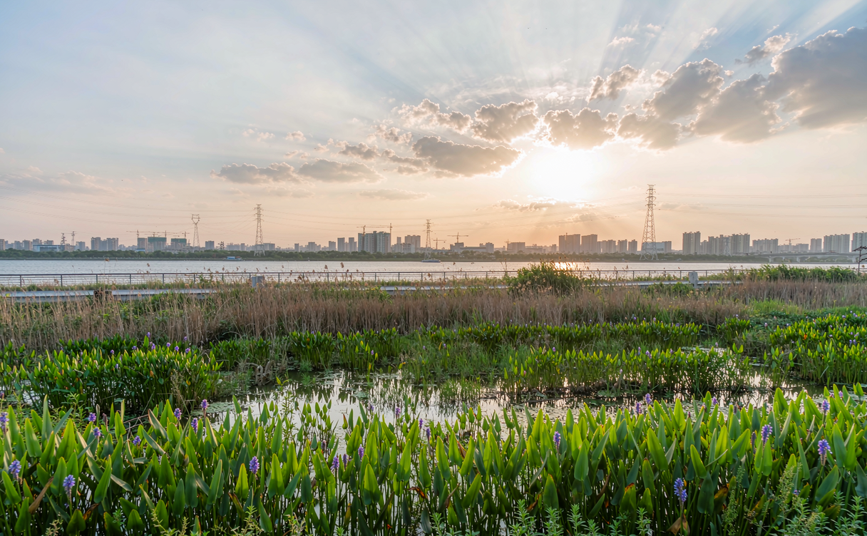 Dongting Lake reed shores and water near Yiyang, Hunan
