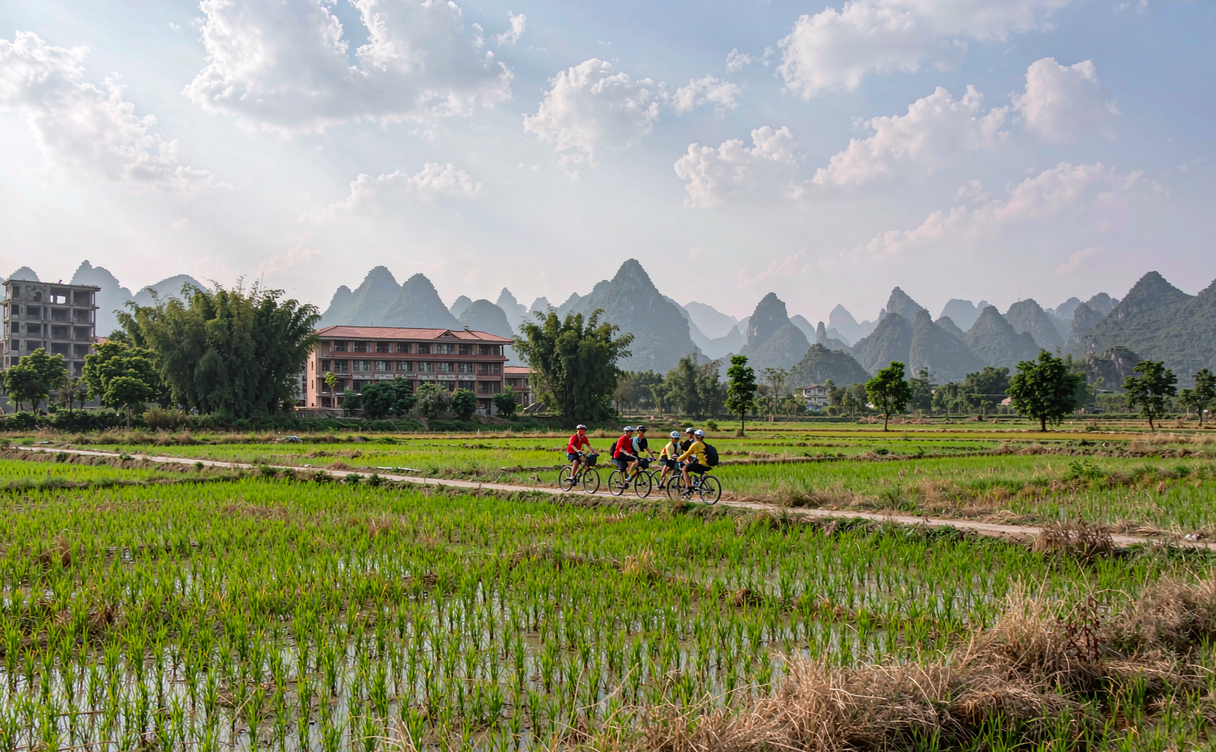 Green rice paddies and karst peaks reflected in the Yulong River at sunrise