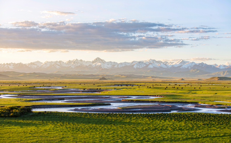 Zoige Grassland Guide: Wetland Meadows and the Yellow River’s First Bend