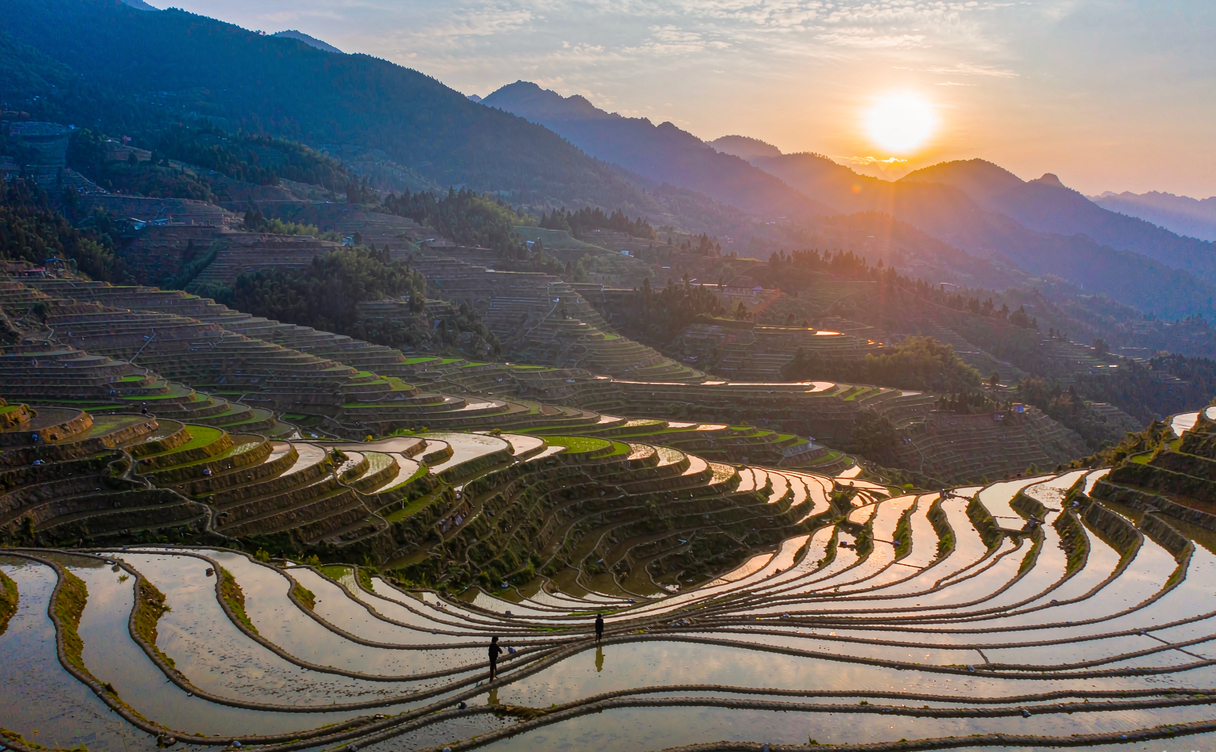 Ailao rice terraces glowing at sunrise on Ailao Mountain Yunnan