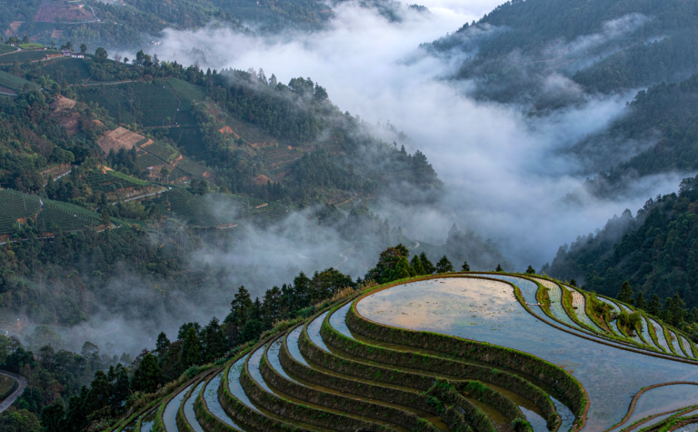 Ailao Mountain, Yunnan: Terraced Rice and Sea-of-Cloud Forests