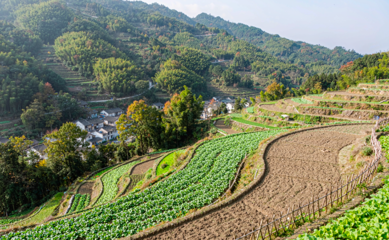 Bama Travel Guide, China