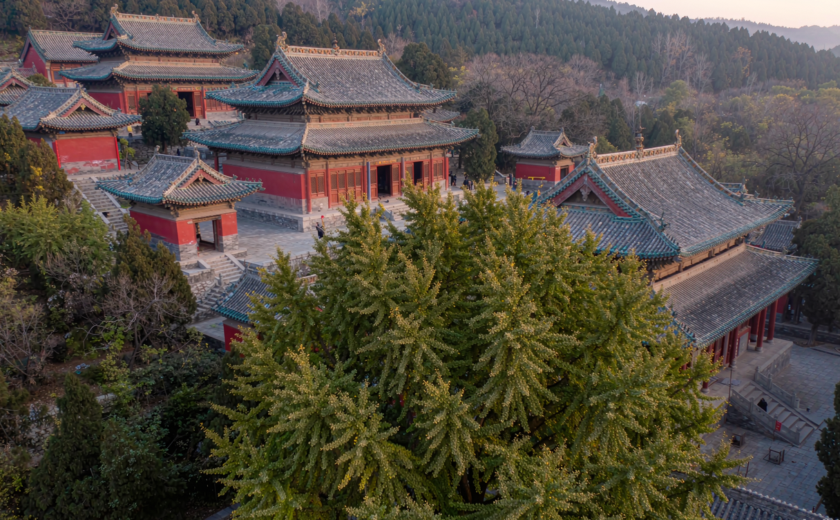 Beijing western hills temples at Tanzhe Temple in Mentougou with old ginkgo trees