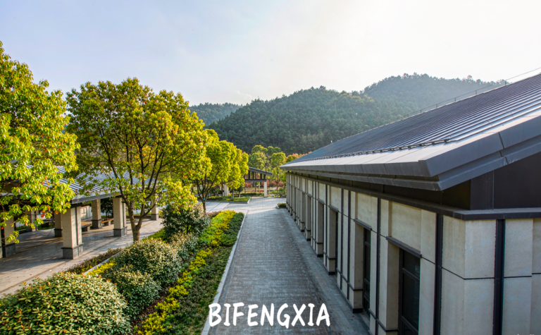 Bifengxia Panda Base: Giant Pandas and Gorge Scenery in Ya’an