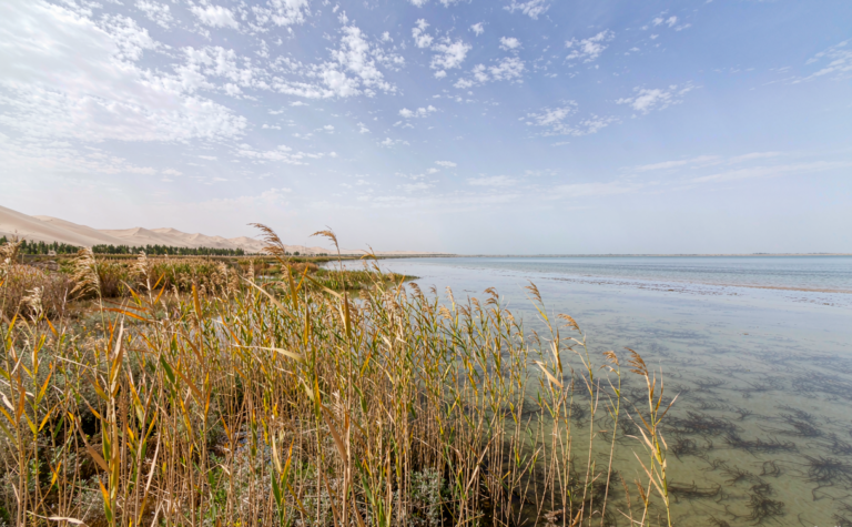 Bosten Lake Guide: Xinjiang, China’s Largest Inland Freshwater Lake