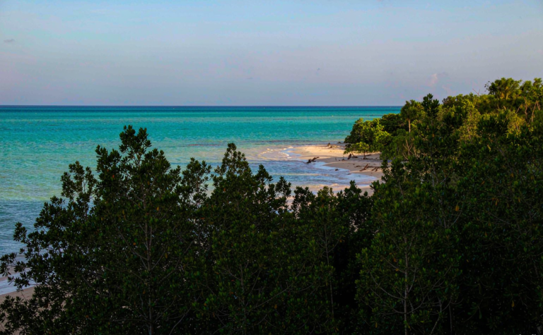 Changjiang Travel Guide: Bawangling Forests & Queen Bay, Hainan