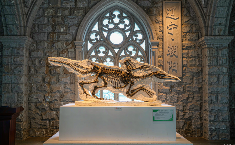 Chaoyang Travel Guide: Fossil Birds, Niuheliang and Liaoning History
