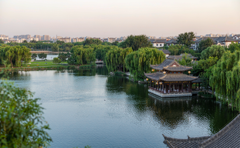 Daming Lake Guide: Jinan’s Calm City Lake of Summer Lotuses