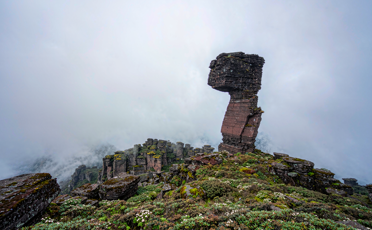 Fanjingshan Mushroom Stone rock formation