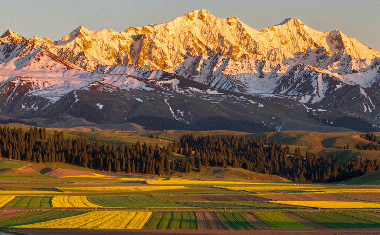 Haibei, Qinghai Travel Guide: Qilian Mountains and Menyuan Rapeseed Fields