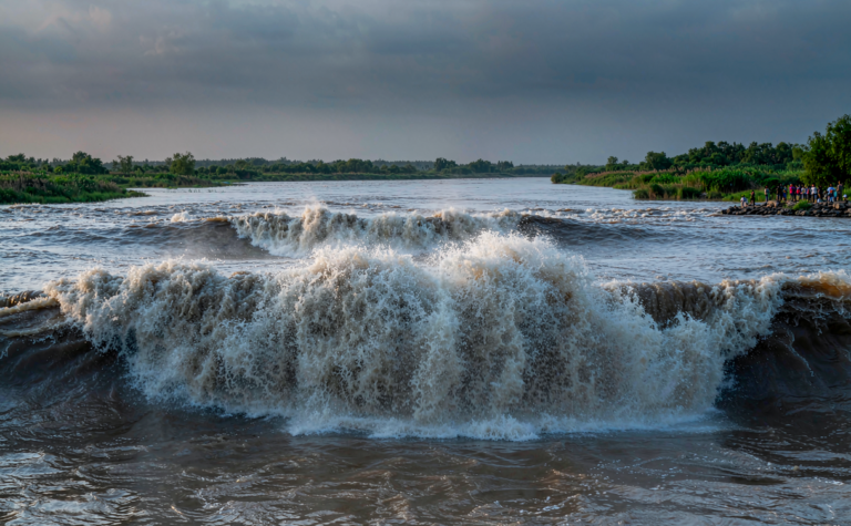 Haining Travel Guide: Qiantang River Tidal Bore and Salt Town Streets
