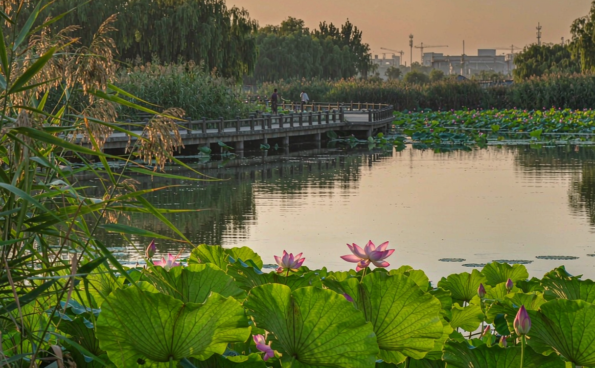 Xiangshan park Huaibei walk with wooded paths and hilltop pagoda