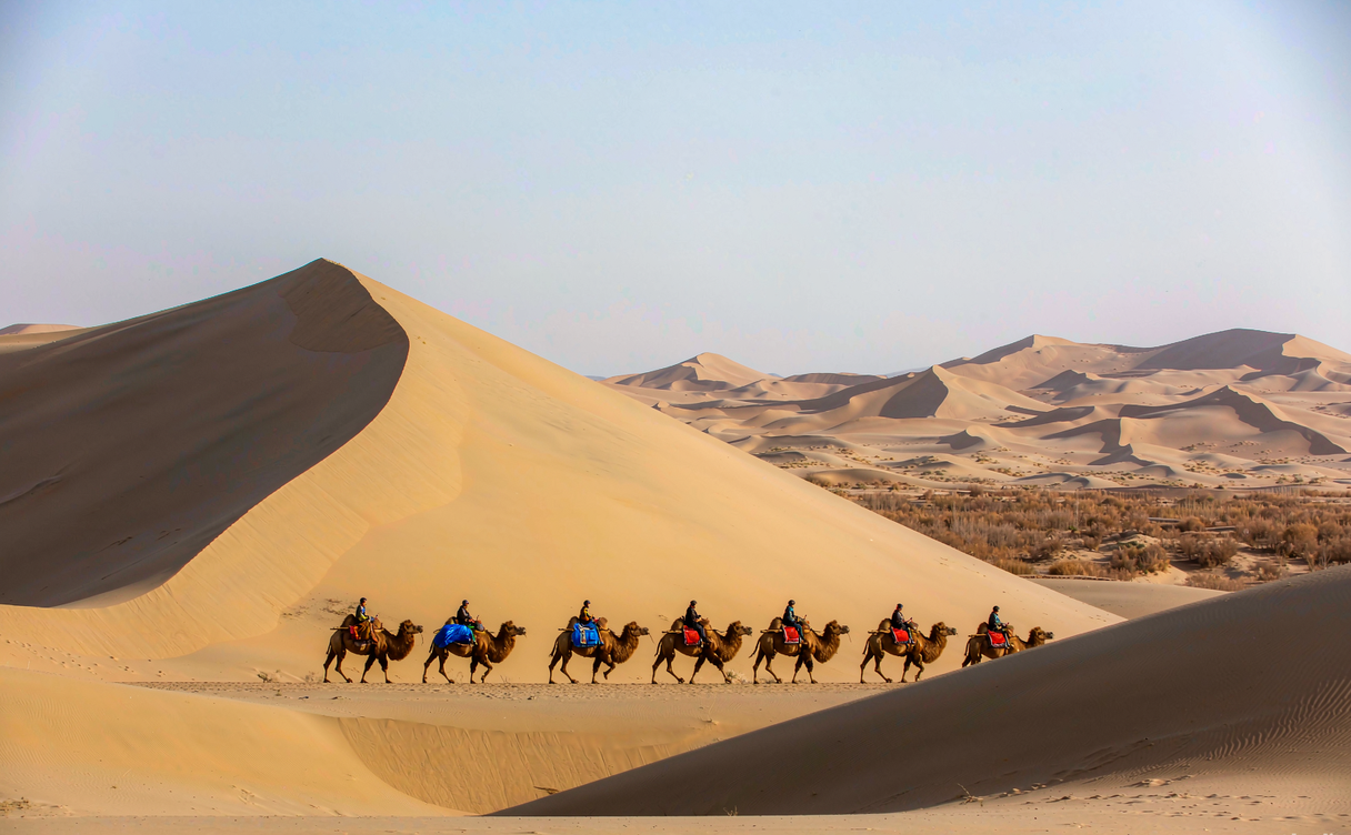 Kumtag Desert dunes meeting the edge of a green oasis town