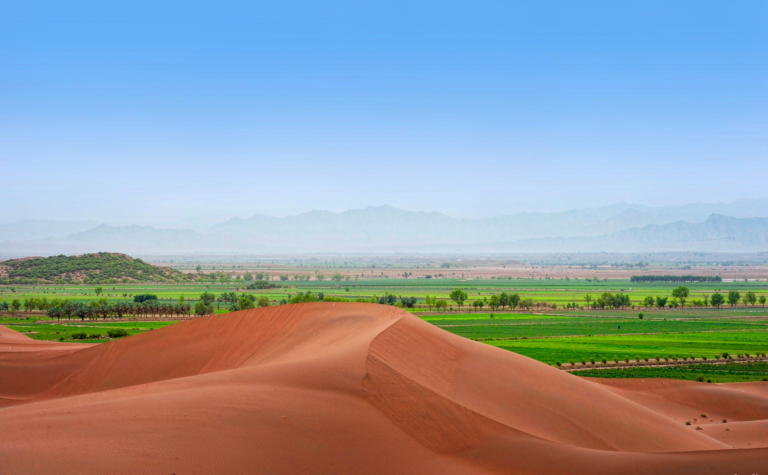 Kumtag Desert Guide: Xinjiang’s Desert Meeting the Oasis