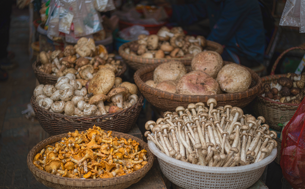 Baskets of fresh wild mushrooms at a Kunming morning market stall