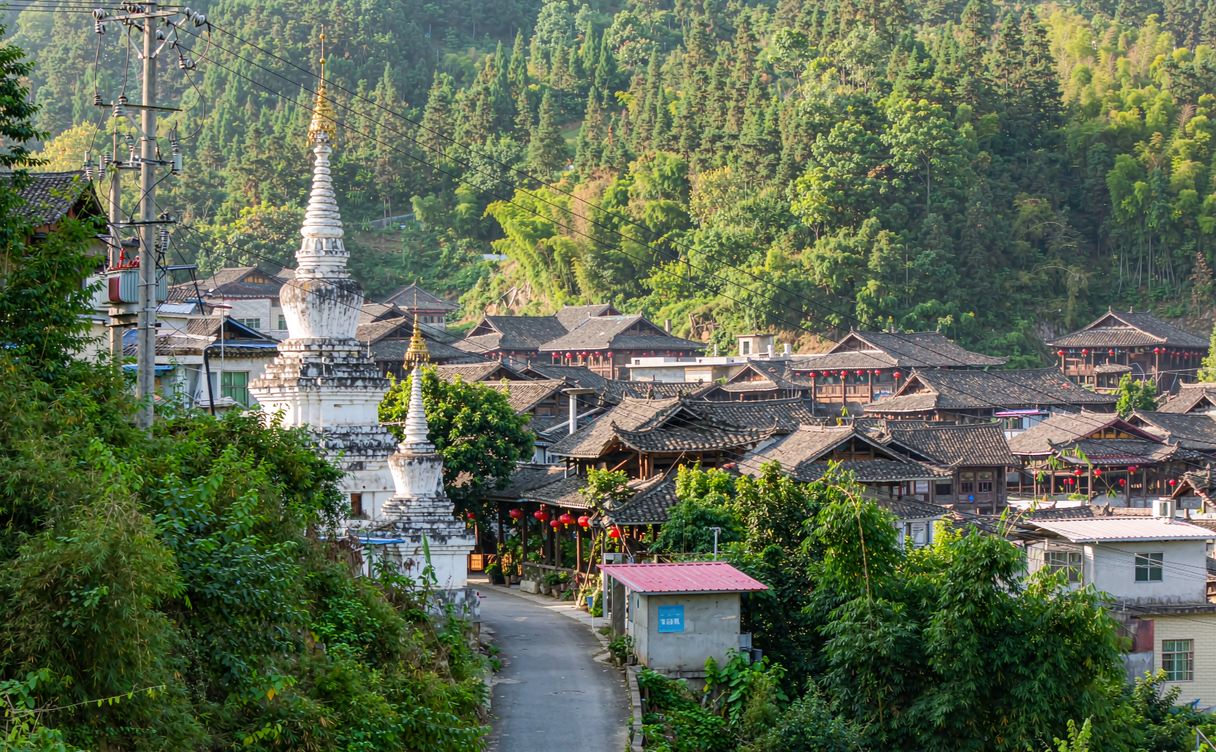 Ancient tea trees growing beneath a forest canopy on Jingmai Mountain in Lancang, Yunnan, China