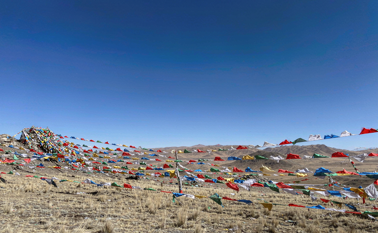Maoya grassland Litang with grazing yaks and distant snow peaks
