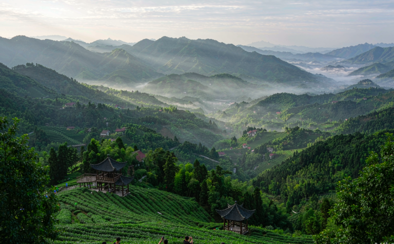 Lu’an Travel Guide: Dabie Mountains, Tiantangzhai and Anhui Tea