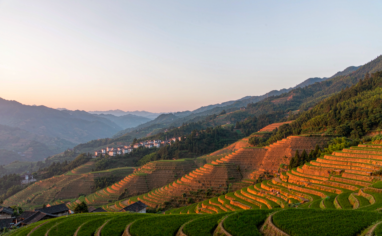 Longsheng Rice Terraces reflecting sky at sunrise in Guangxi, China