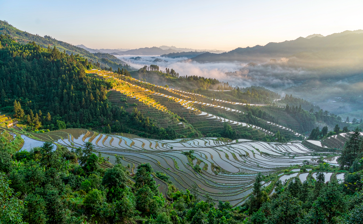 Golden Longsheng terraces at Jinkeng Dazhai in Guangxi, China