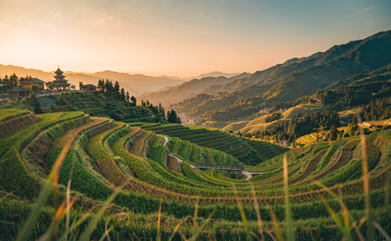 Longsheng Rice Terraces Guide, Guangxi, China