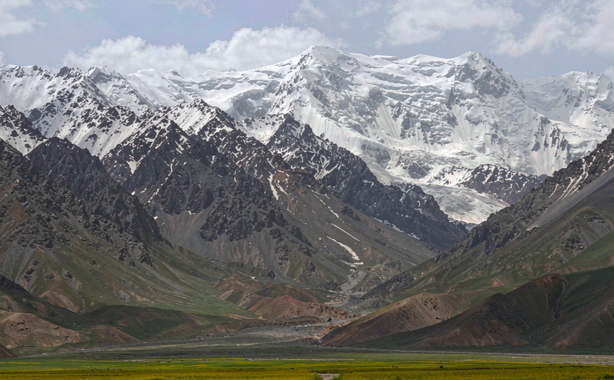 Menyuan rape flower sea with Qilian mountains behind