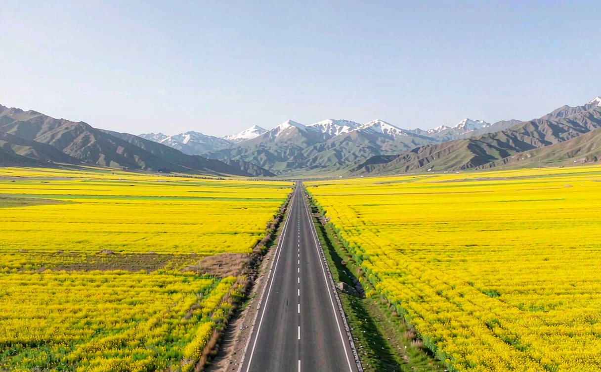 Menyuan Tibetan grassland camp near the flower sea