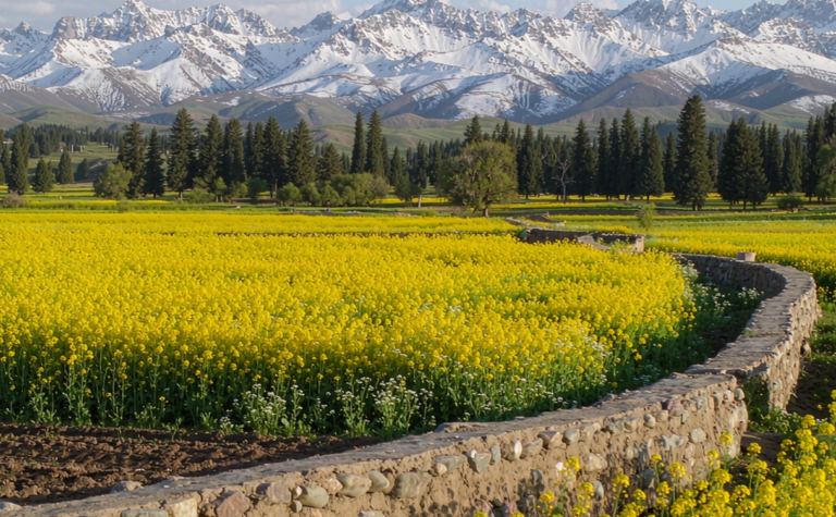 Menyuan Travel Guide, China