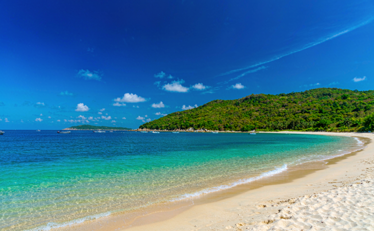 Nanji Island: Blue Bay Marine Reserve of Wenzhou