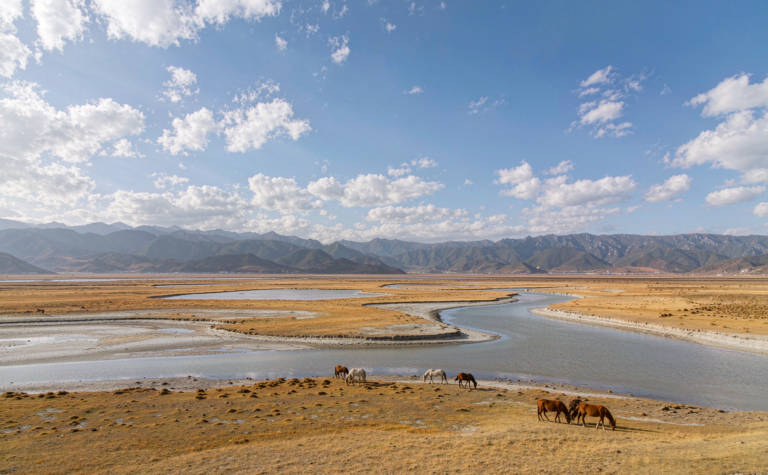 Napahai, Yunnan: Seasonal Lake and Shangri-La Grassland