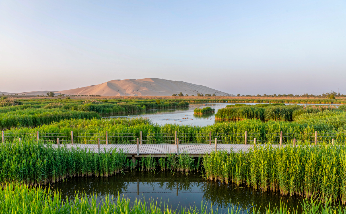 Boat on Ningxia Sand Lake with reeds and dunes behind